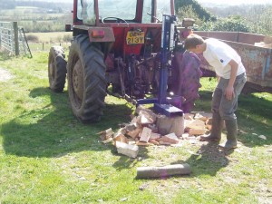 Splitting the beech