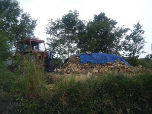 The log splitter with one of our stacks of wood