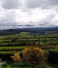 Snow on the hills