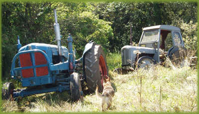 Stuck Tractors